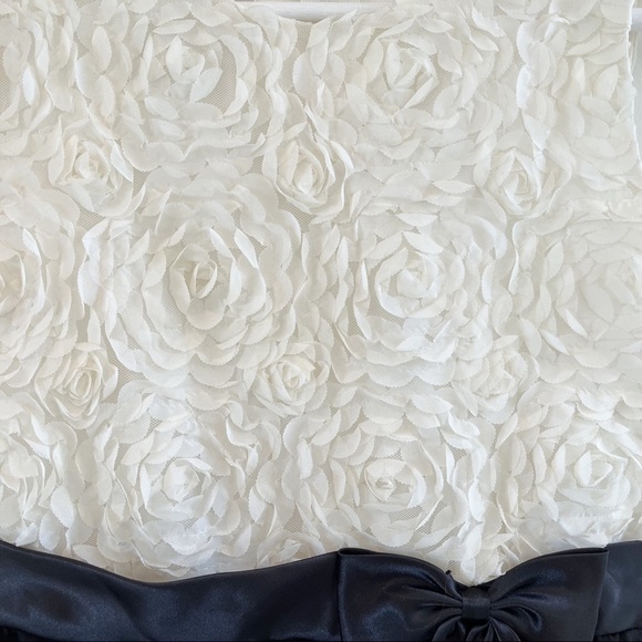 Couture Princess Girl’s Wedding Special Occasions Dress Size 14 - Picture 3 of 10